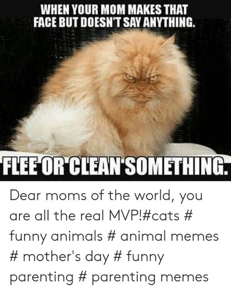 Animal Dank Animal Memes Clean