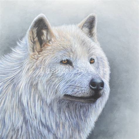 Arctic Wolf Painting Limited Edition Print Door Tasha Lowe Etsy
