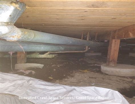 Crawl Space Cleaning Comprehensive Guide Crawl Space Remedy