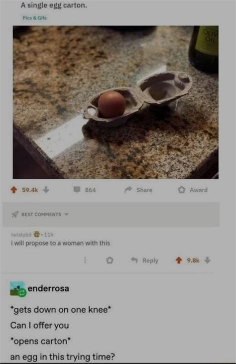 Single Egg Carton Pics And Gits 594k 864 Share Aw Best Comments I Will Propose To A Woman With