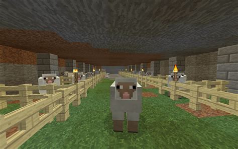 Colored Wool Farm Suggest New Project Ideas Minecraft