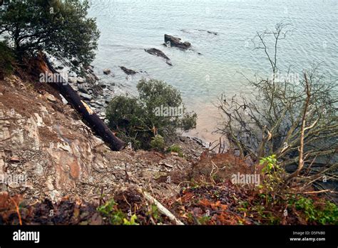 Collapsed Section Of A Coastal Erosion After Rain Damage With Fallen