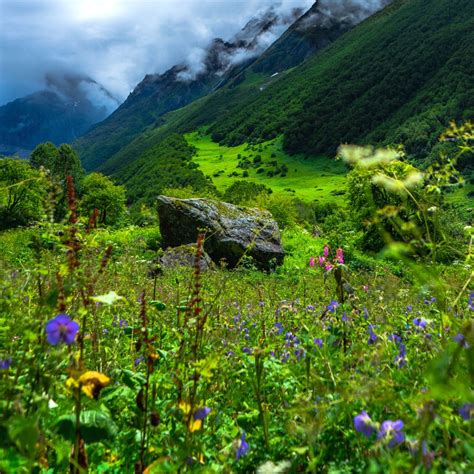 The Itinerary For The Valley Of Flowers And Hemkund Sahib Trek Turuhi