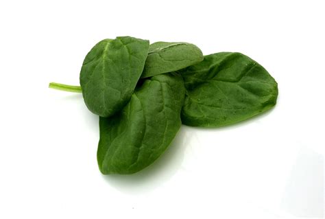 New Jersey Grown Baby Spinach - Blue Moon Acres