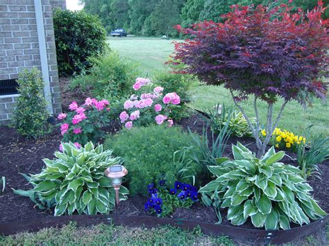 Front Yard Landscape Plants And Shrubs