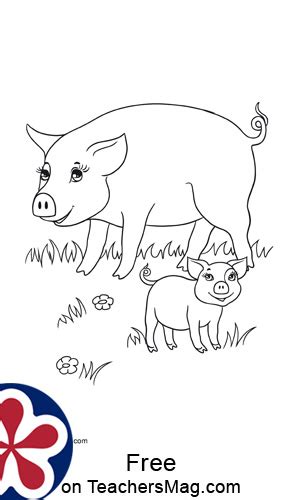 farm animals   babies coloring pages teachersmagcom