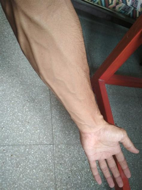 What Does It Mean When A Guys Veins Pop Out Girlsaskguys