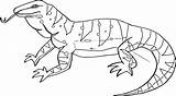 Lizard Wecoloringpage Spread sketch template