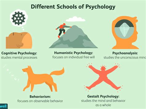 Best Schools For Psychology And Neuroscience Infolearners