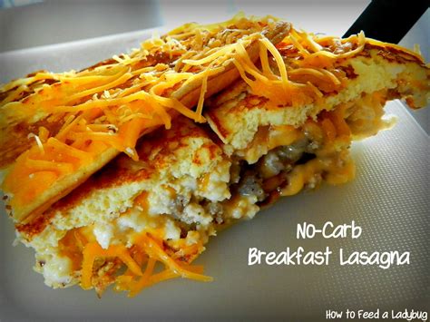 How To Feed A Ladybug No Carb Breakfast Lasagna