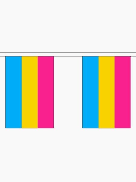 bunting 10 small pansexual pride flags qx shop