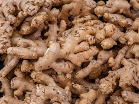 substitute for ginger 14 excellent alternatives to this unique condiment