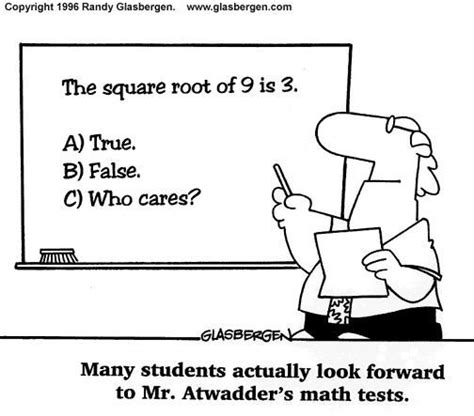 Who Cares Math Humor Math Cartoons Funny Math Quotes
