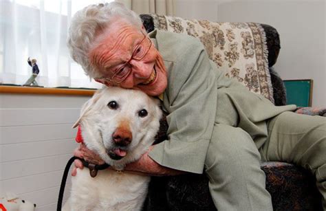 Pets In Aged Care Facilities Australian Pet Welfare Foundation