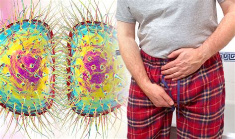 gonorrhoea symptoms four signs you could have the sexually transmitted infection uk