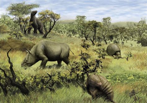 The Shrubland Of Pleistocene South America Rpleistocene
