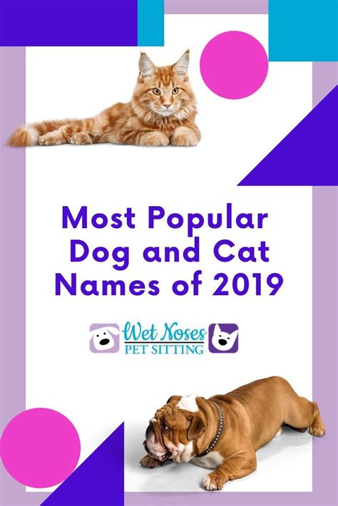 Most Popular Dog And Cat Names From 2019 Popular Dog Names Cat Names