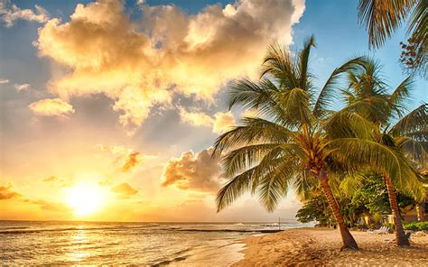 Hd Wallpaper Tropical Paradise Beach Palms Sea Ocean Sunset