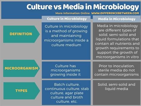 Difference Between Culture And Media In Microbiology Compare The