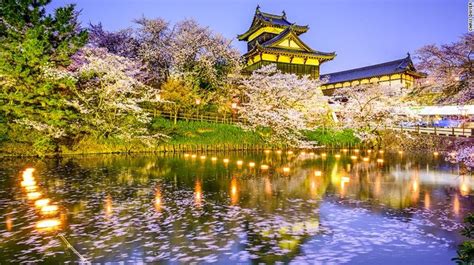 Sakura Season Your Guide To Cherry Blossoms Travel Around The World