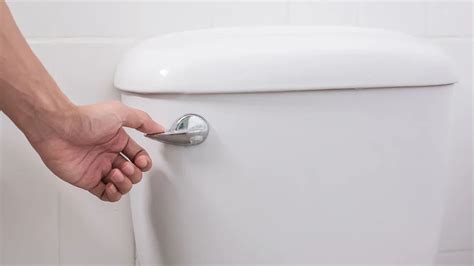 Fix A Toilet That Wont Flush Dps Ltd