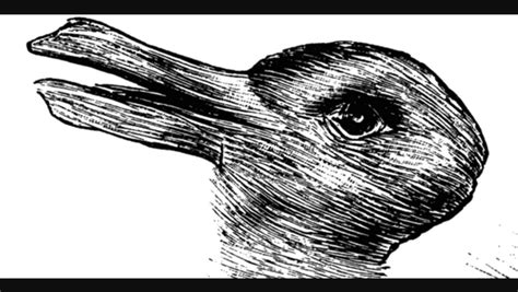 The Picture Can Be Seen In Two Different Ways A Bird Or A Rabbit