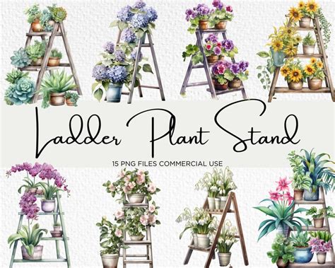 Watercolour Ladder Plant Stand Clipart Bundle 15 Transparent Etsy