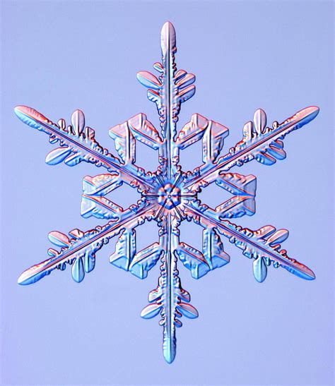 In Pictures The Many Shapes Of Snowflakes The Globe And Mail