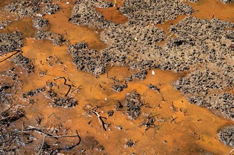 Background Of Brown Mud With Bright Orange Chemicals Environmental