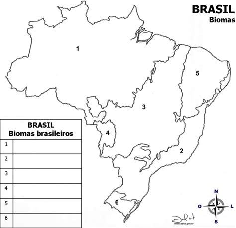 Mapas Do Brasil Para Colorir E Imprimir Coloring City