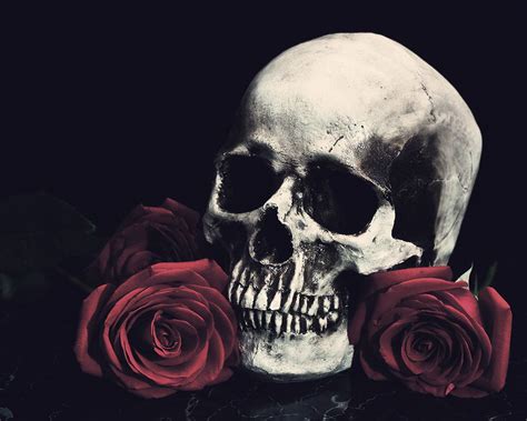 Black Skull with Rose Wallpapers - Top Free Black Skull with Rose