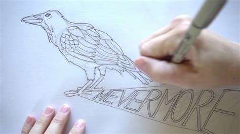 How To Draw And Ink A Raven Step By Step Tutorial Youtube