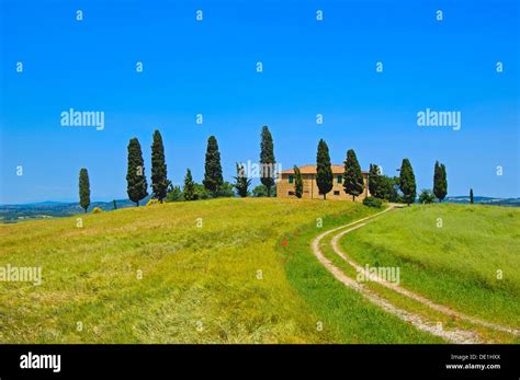 Val D´orcia Orcia Valley Farm With Cypress Trees Fields And