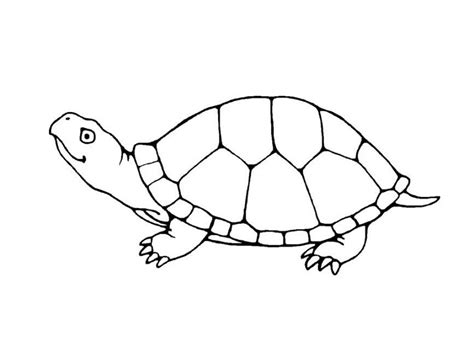 Get This Free Turtle Coloring Pages for Kids yy6l0