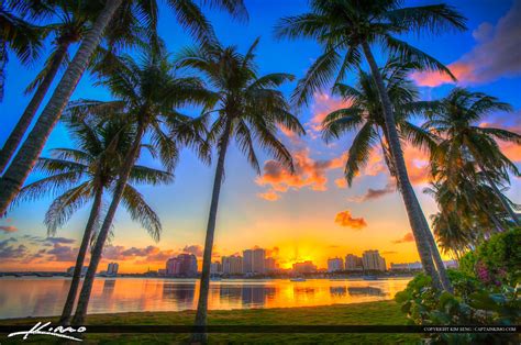 Coconut Tree Sunset West Palm Beach Hdr Photography By