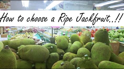 How To Select A Ripe Jackfruit Tips To Pick The Right One Youtube