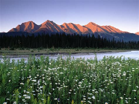 Kootenay National Park British Columbia Canada Rocky Mountains