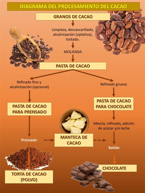 Cacao Fino O De Aroma ComercializaciÓn Y Procesamiento Poscosecha Cacao