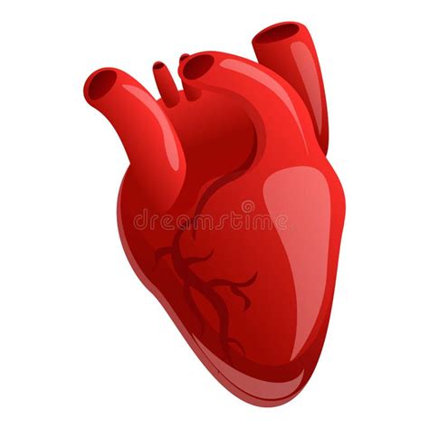 Human Heart Organ Icon Hand Drawn Style Stock Vector Illustration Of