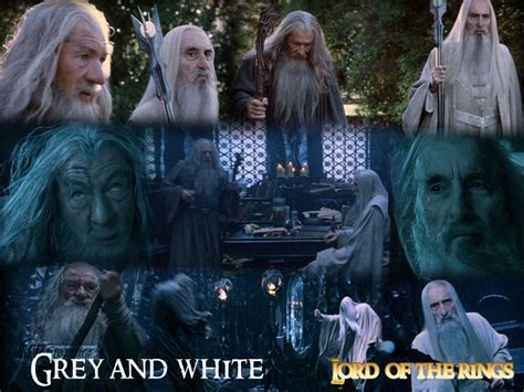Check spelling or type a new query. Gandalf and Saruman - Lord of the Rings Wallpaper (3072722 ...