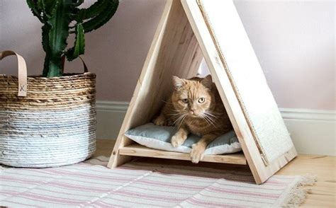 Verwandeln Sie Ihre Wohnung in das perfekte Katzen-Zuhause ...