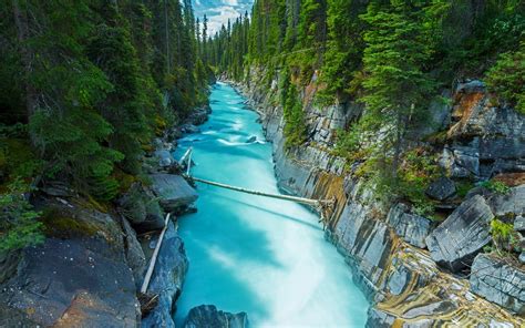 Nature Landscape Canada Forest River Rock Water