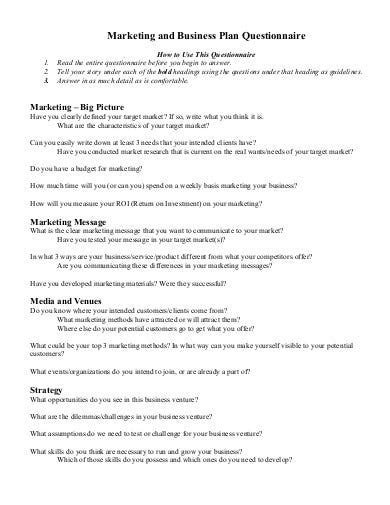 9 Business Plan Questionnaire Templates In Pdf Ms Word
