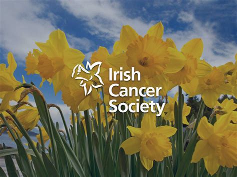 Irish Cancer Society Oc Consulting