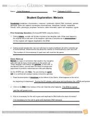 Chromosomal crossover in meiosis i. Student Exploration- Meiosis (ANSWER KEY).docx - Student ...