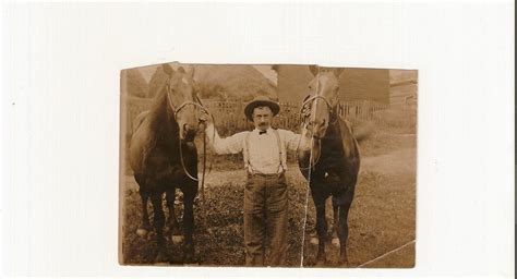 The fuccillo automotive group, which was known for its ongoing marketing campaign of huge savings, has 21 dealerships in new york and florida, according to its website. Coal Region History Chronicles: A Horse Named.."OLD BILLY ...