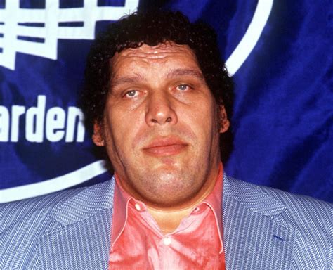 This Is Huge 6 Fascinating Facts About Andre The Giant Biography