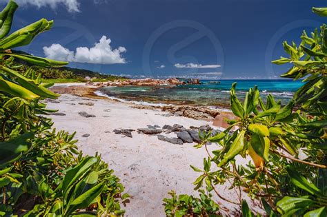Tropical Beach At La Digue Island Seychelles Lush Green Vegetation On