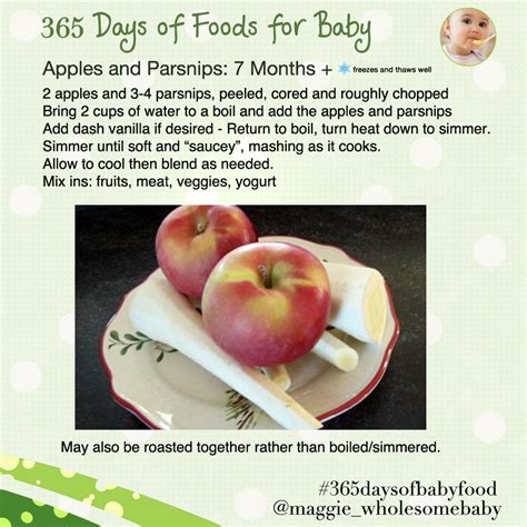 Fruits The Wholesome Baby Food Guide To Making Homemade Baby Food