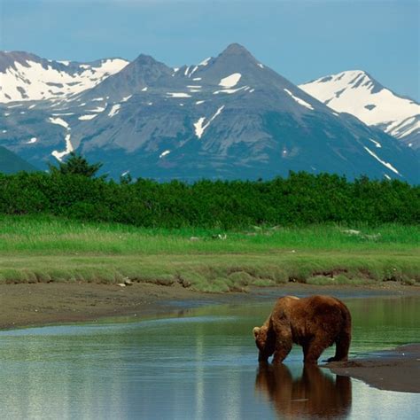 Alaska Nature Tours Usa Today